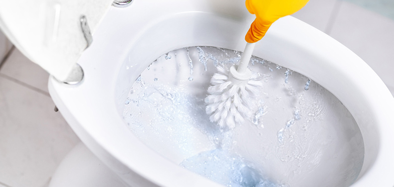 how-to-clean-a-toilet