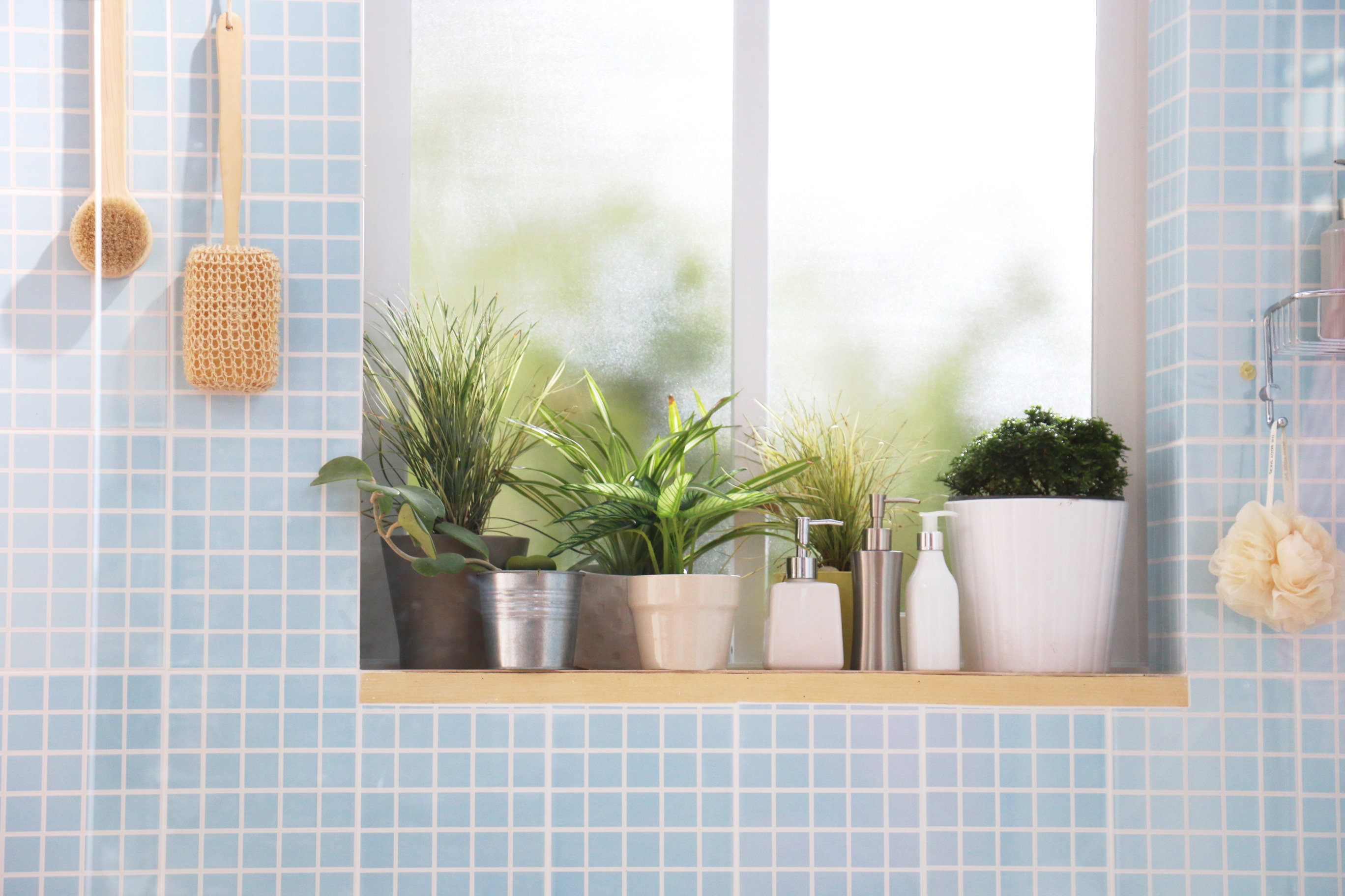 Small Bathroom Ideas 2025